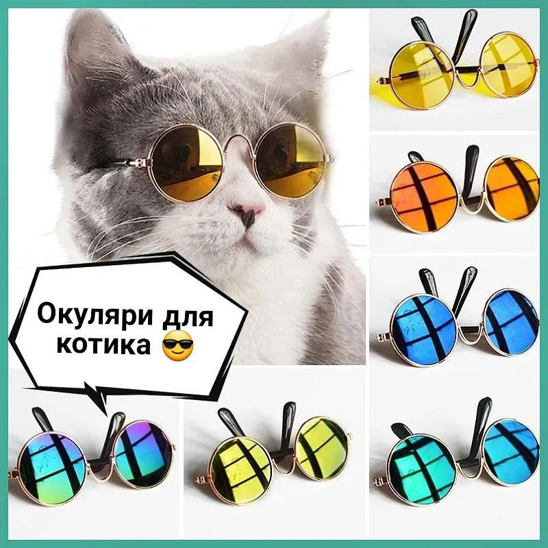 Окуляри для котів, очки для котов, очки для собак, окуляри для...