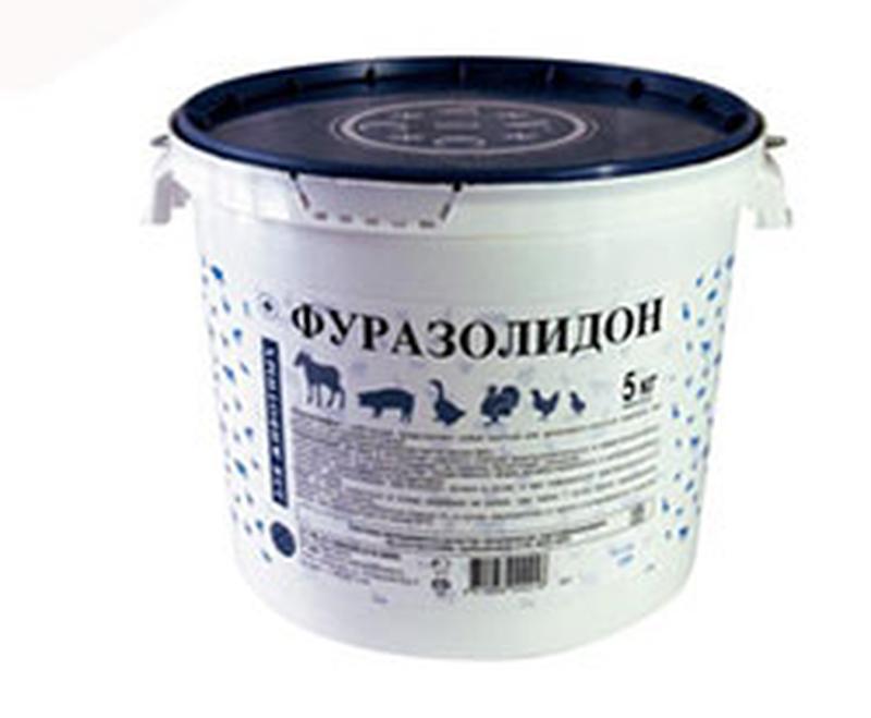 Фуразолидон инструкция птицам. Фуразолидон порошок. Фуразолидон порошок для бройлеров. Фуразолидон для рыб. Паста фуразолидон.