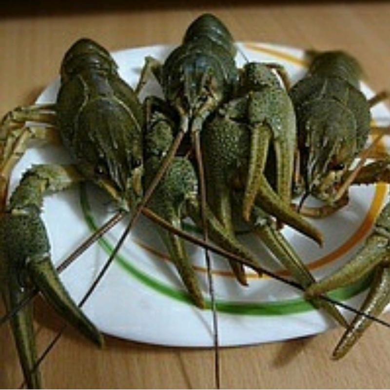 Рыбный рынок в таганроге. 9 ракмдан 15раками. Рачки в ведре. Нарак табобаташ. Раковая многолепестка.