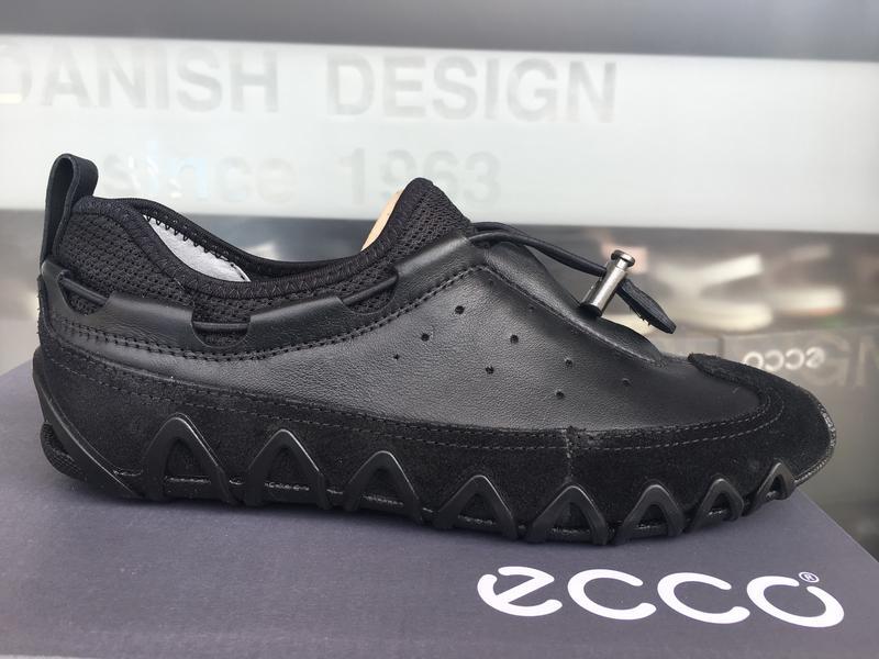 Ecco dayla outlet