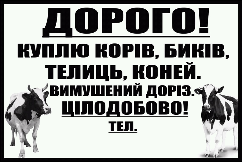 Крс основы. Череп крупного рогатого скота.