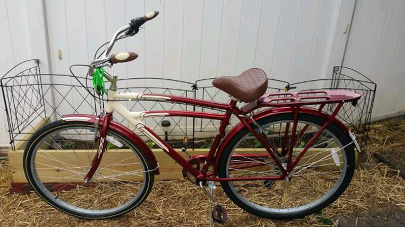 schwinn low glide