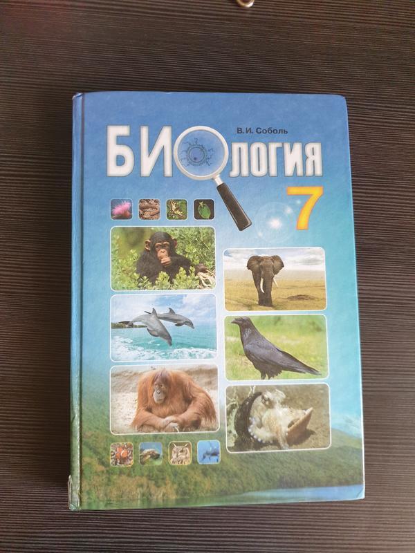 Учебники 7 класса фото