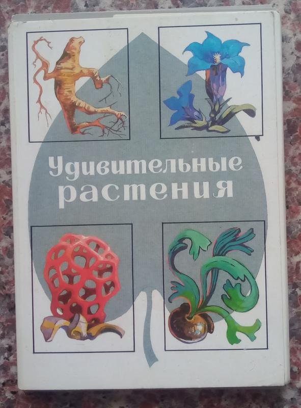 Удивительные растения. 32 открытки. - М., 1989