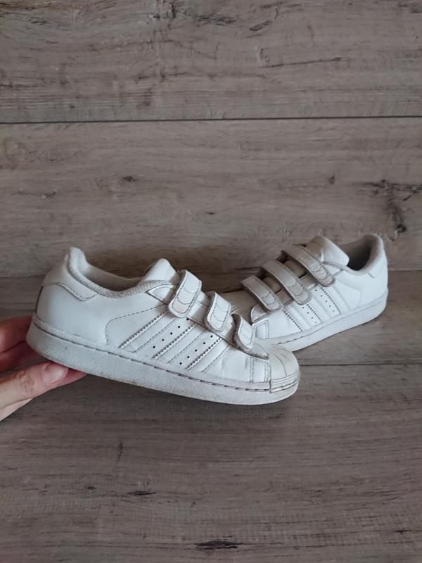 adidas superstar 31