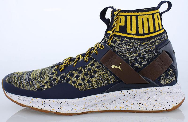 Puma ignite evoknit on sale bhm