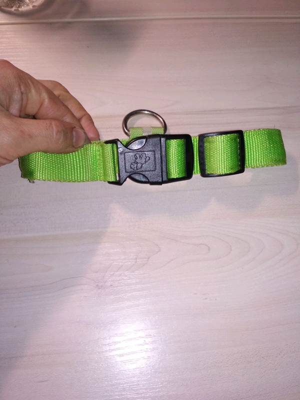 Ошийник для собаки що світиться з USB.: цена 135 грн - купить Товары ...