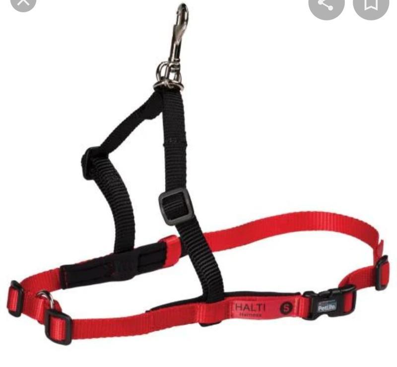 Тренировочная шлейка halti harness, на средне-крупную собаку