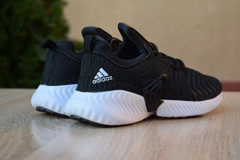 adidas alphabounce zebra