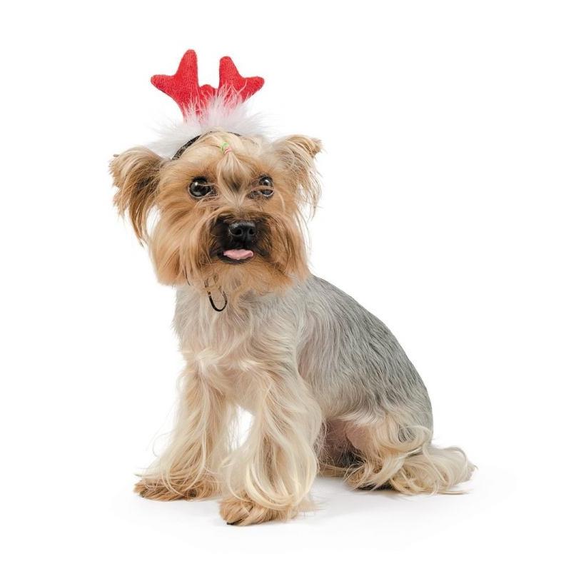 Новогодний аксессуар для собак Pet Fashion Рожки