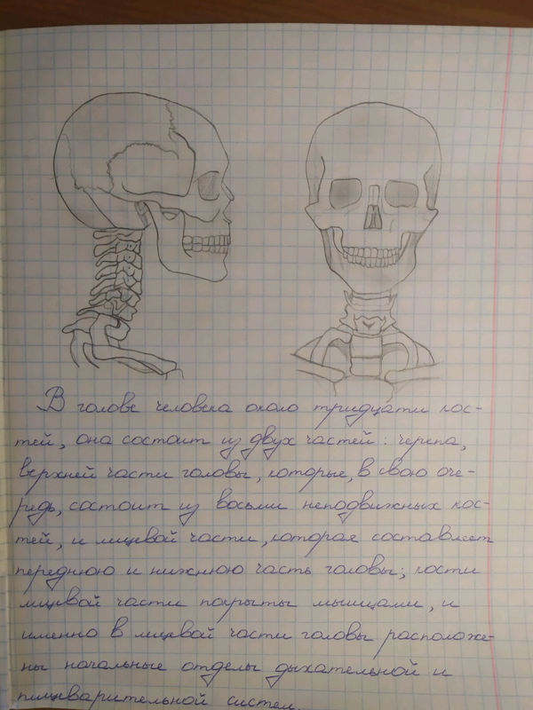 Реферат с рисунками