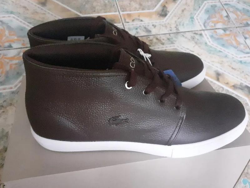 lacoste asparta 319
