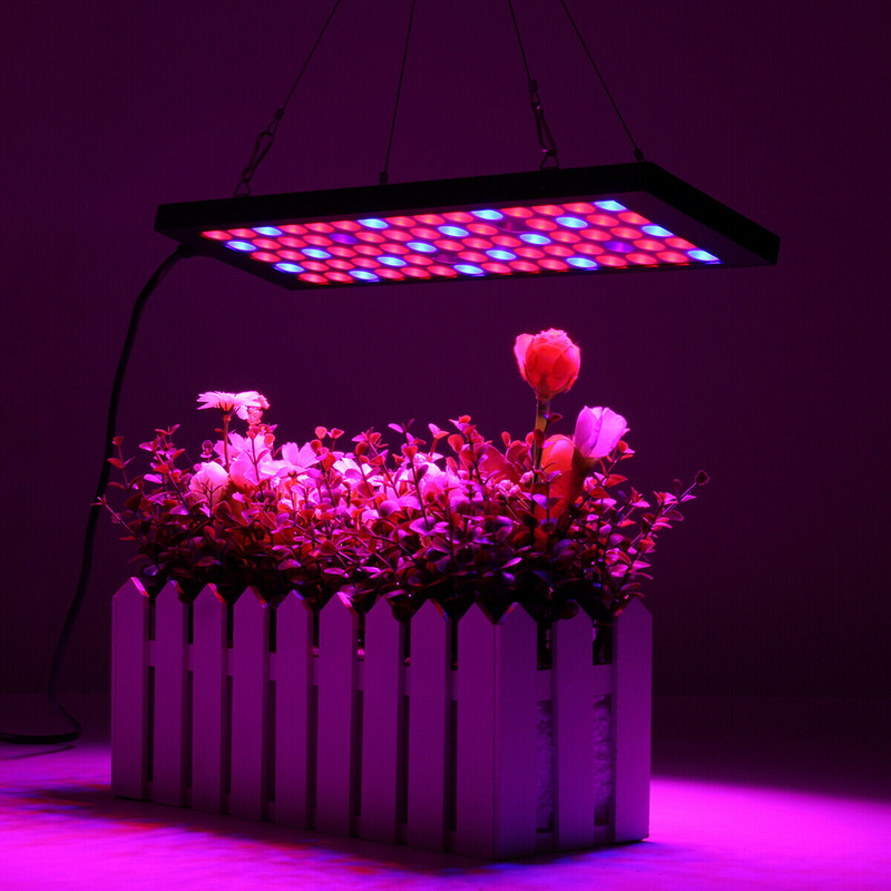 LED Grow 1000W фито лампа для растений - 1600 ₴, купить на IZI (5057644)