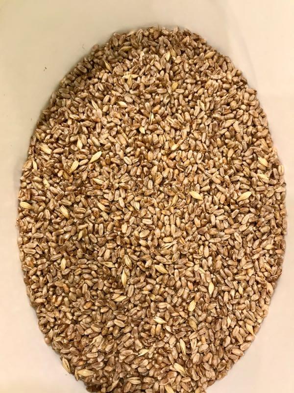 Солод Пшеничный, ферментированный
