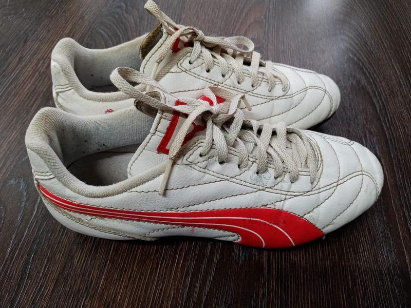 Puma 35 2024