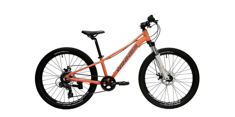 Велосипед WINNER BETTY 24 (2022), 135-150 см