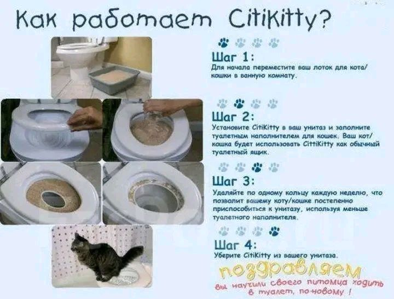 Набор для приучения кошки к унитазу (кошачий туалет) CitiKitty SL