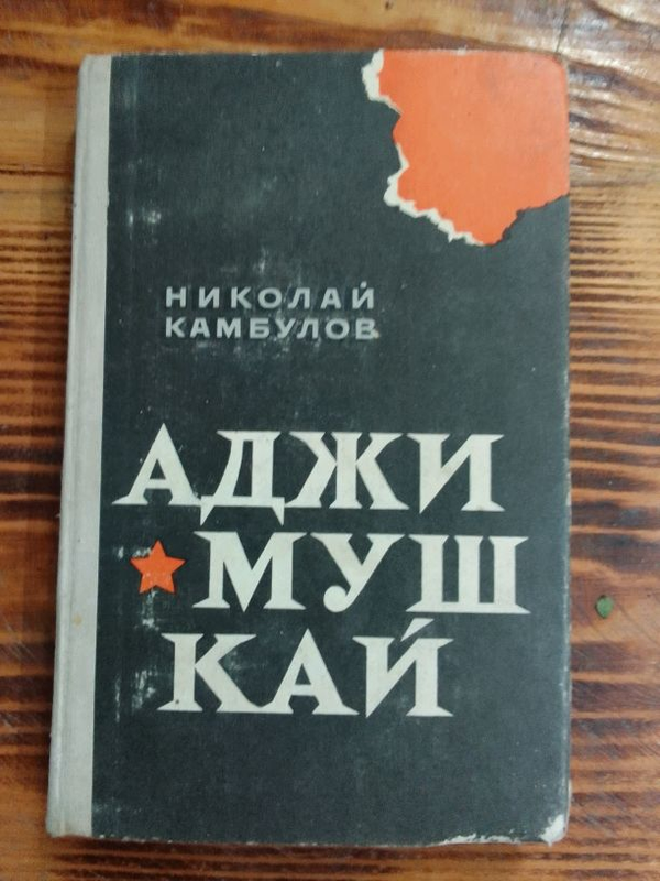 книга николай камбулов