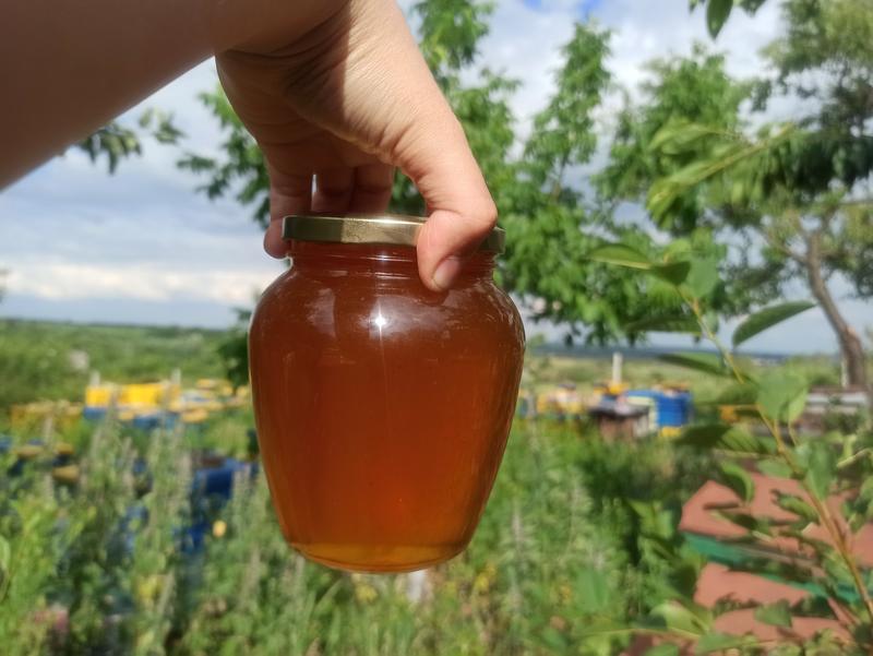 Свежий майский мед 2023, вкусный полезный, акация, разнотравье