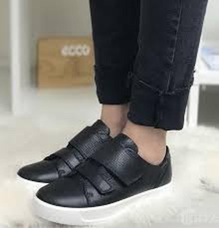 ecco s8