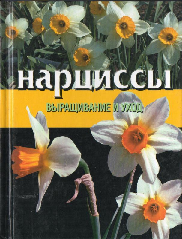 Книга. Нарциссы. Выращивание и уход: цена 70 грн - купить Книги на ИЗИ ...