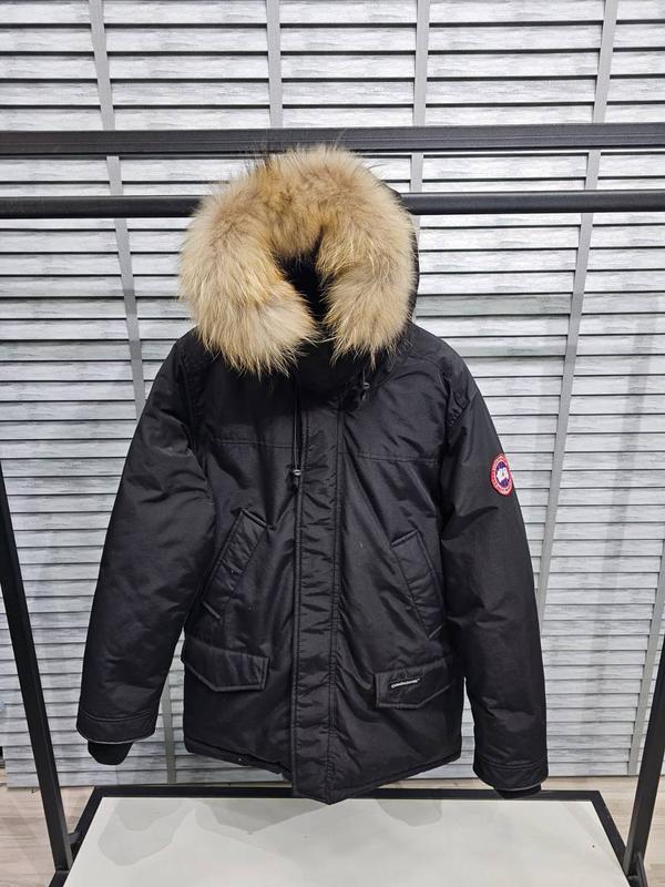 canada goose