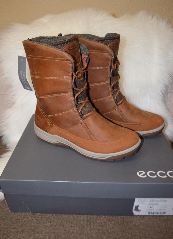 ecco trace lite