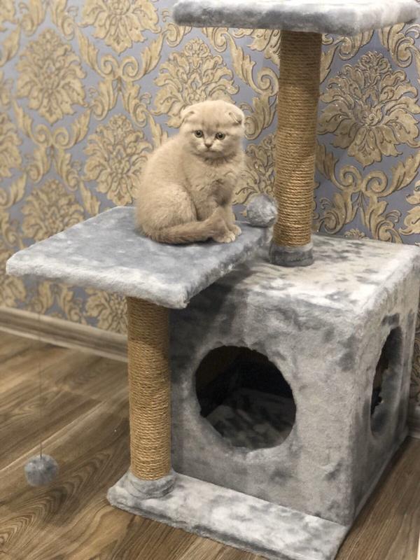 Когтеточка для кошек, домик, дряпка столбик, лежанка для кота: цена ...