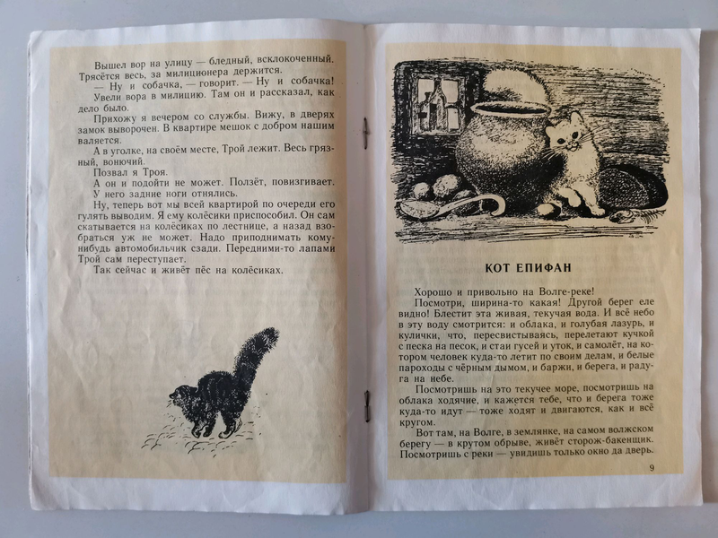 рассказ чарушина кот. кот епифан чарушин. евгений чарушин кот епифан. евгений чарушин кот епифан иллюстрации. куприн ю-ю иллюстрации.