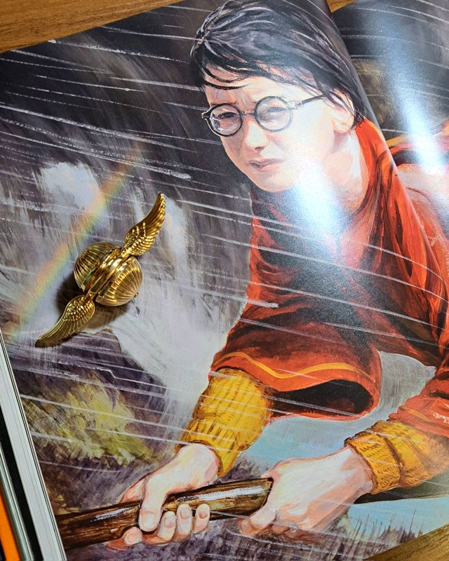 Гаррі Поттер снітч-спінер /Harry Potter — мерч: цена 250 грн - купить ...