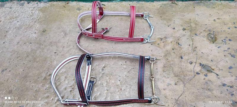 Вуздечка на коня . Капейстра . Уздечка на лошадь Код/Артикул 1...: цена ...