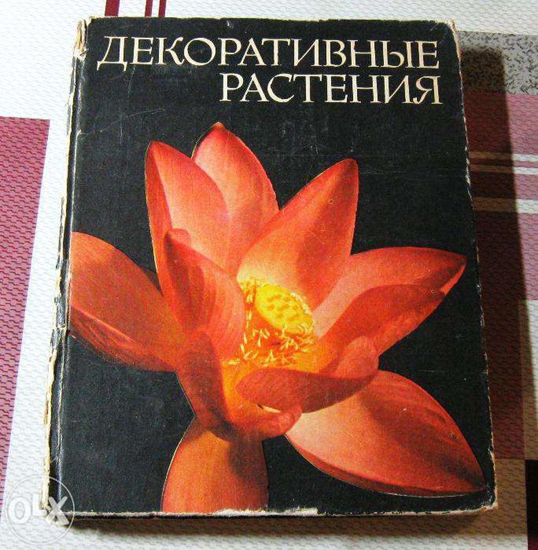 энциклопедия декоративных