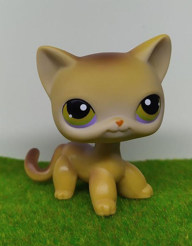 littlest pet shop 19