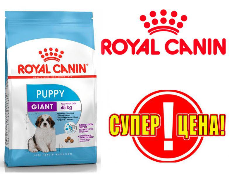 Роял кг. Корм Роял Канин Джайнт Паппи 17кг. Royal Canin giant Puppy 15 кг. Роял Канин Джайнт Паппи 15кг. Royal Canin / Роял Канин giant Puppy (Джаинт Паппи) 17 кг.