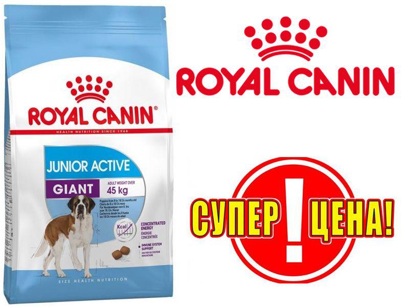 Корм для собак junior. Роял Канин Джайнт Юниор 15 кг. Royal Canin giant Junior для щенков крупных пород. Royal Canin giant 15 кг. Роял Канин 20 кг Юниор с года.