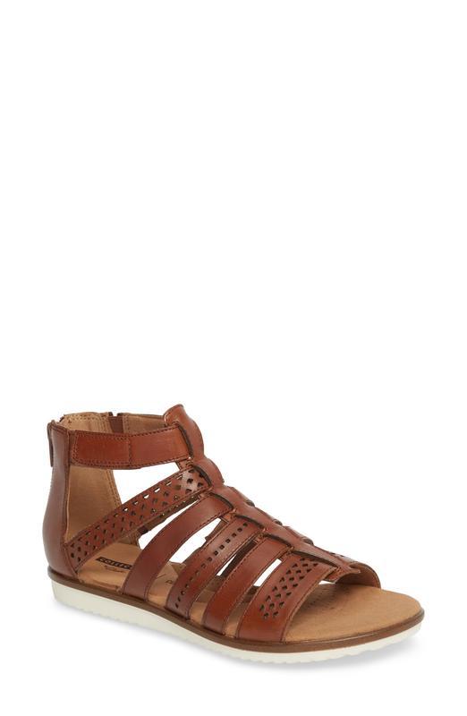 Clarks women's kele on sale lotus gladiator sandal