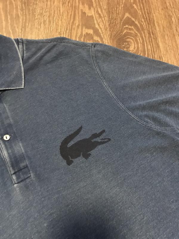 Crocodile lacoste a top coller