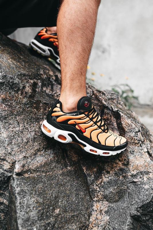 air max tn plus tiger