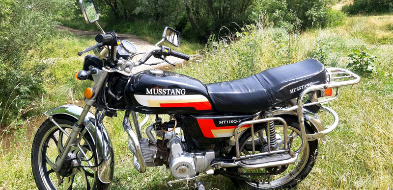 РњРѕРїРµРґ Musstang MT 110 2