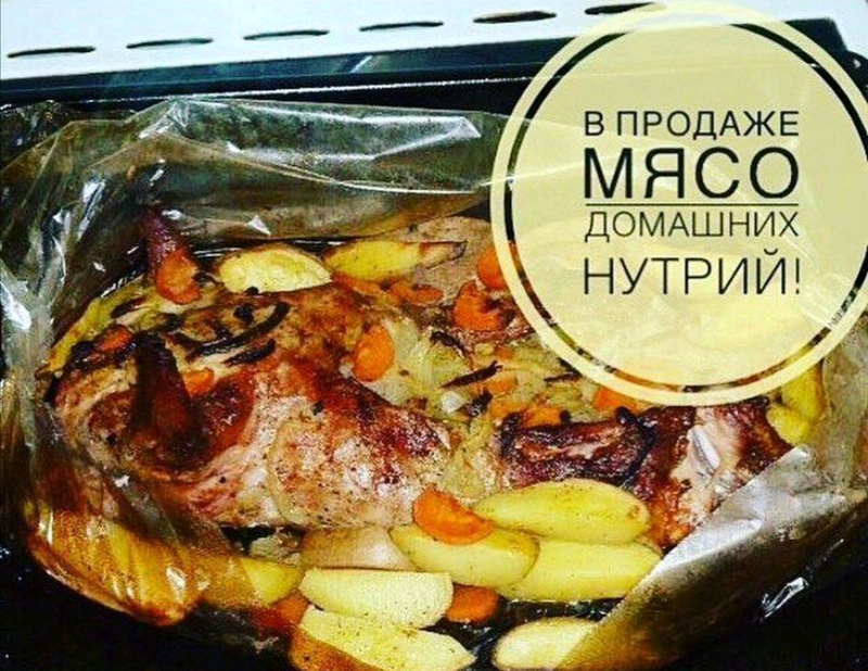 Мясо нутрии картинки