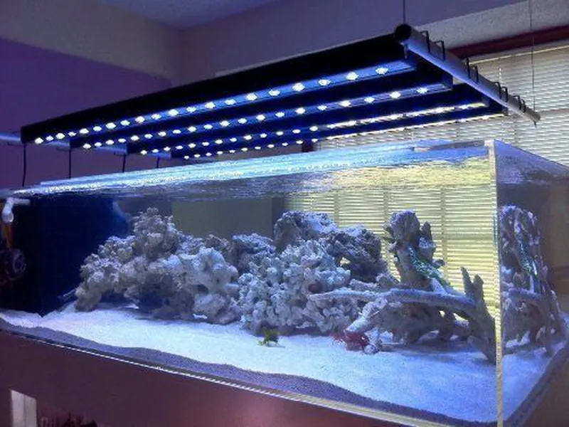 Продам светодиодные модули для подсветки аквариума все цвета