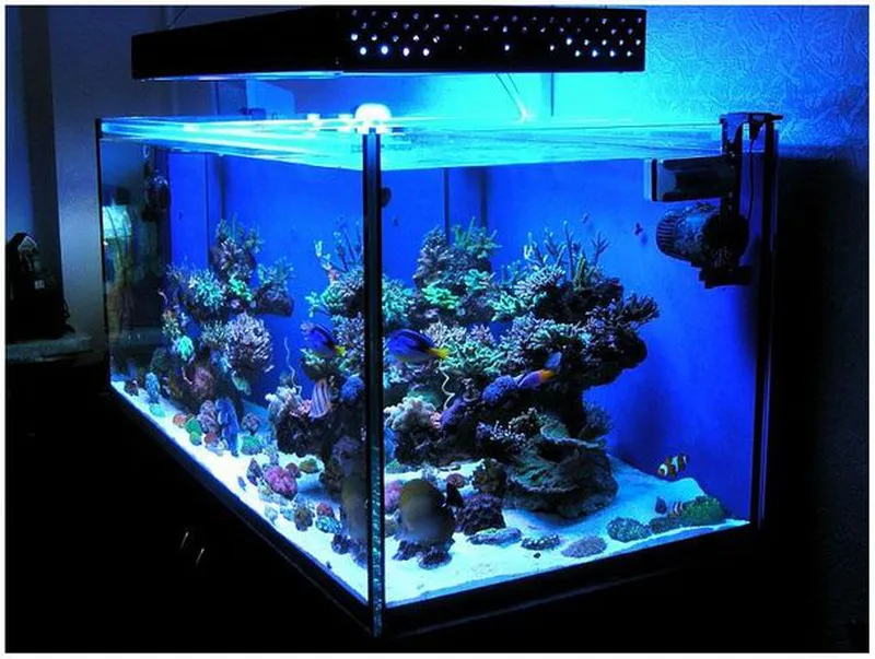 Продам светодиодную ленту для подсветки аквариума