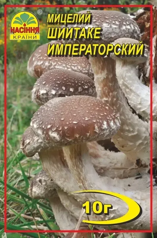 Мицелий гриба Шиитаке императорский, 10 г