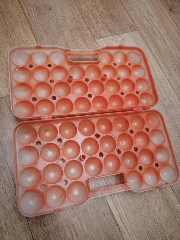 Пластиковый лоток для яиц. лоток на 30 яиц.