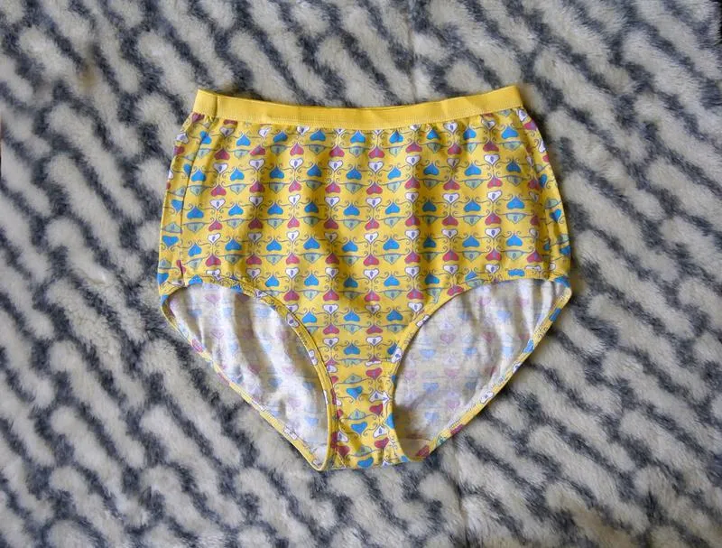 Жіночі трусики з високою посадкою hanes