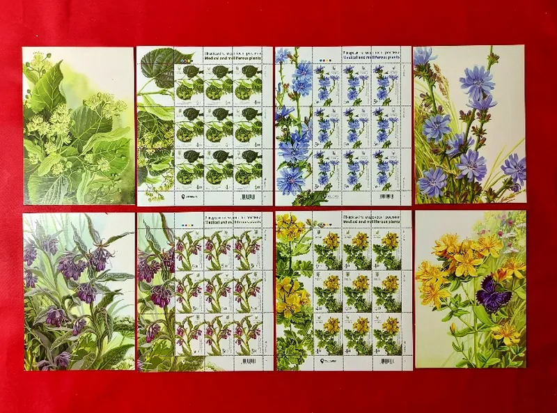 4 листівки та 4 малих аркуша серії Лікарські та медоносні рослини
